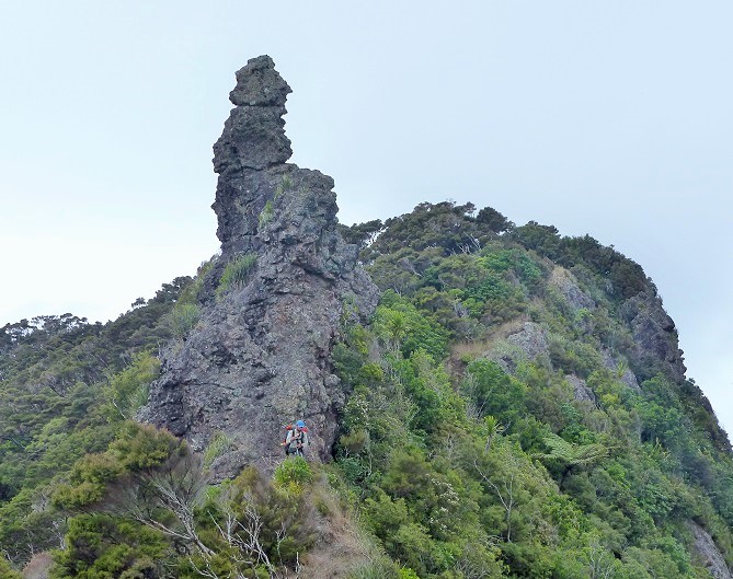 A pinnacle on the Bream Head hike